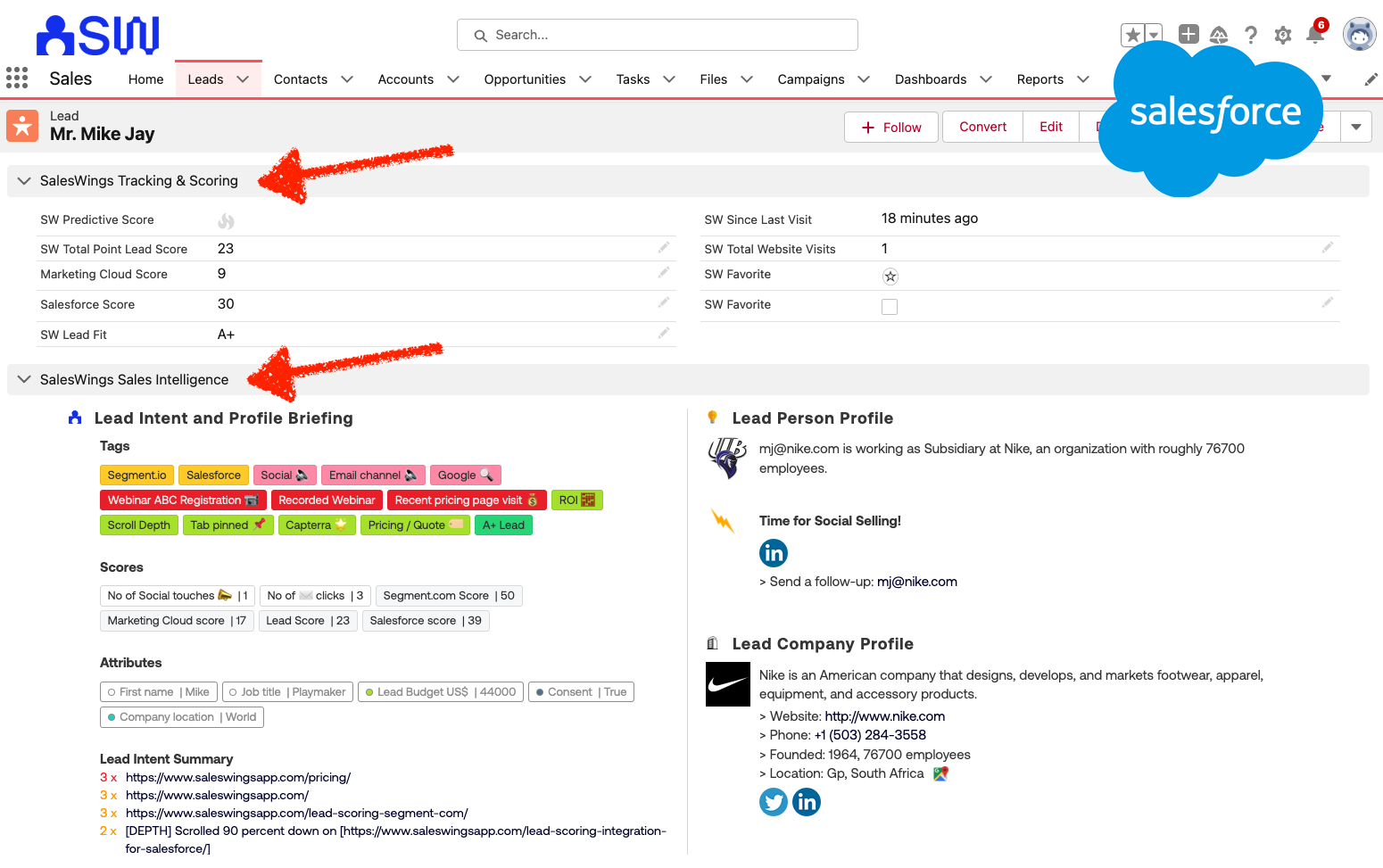 銷售代表的銷售見解觀點的例子在Salesforce(也可用於其他CRM係統)